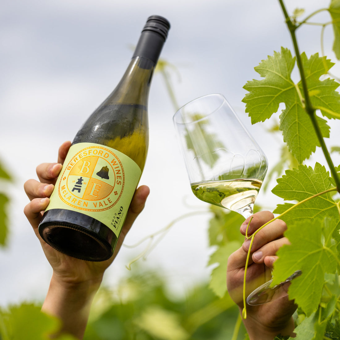 Emblem Fiano 2024, 750ml